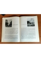 FRUTTICOLTURA MODERNA lezioni di aggiornamento tecnico 1955 Edagricole libro