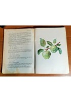 FRUTTICOLTURA MODERNA lezioni di aggiornamento tecnico 1955 Edagricole libro