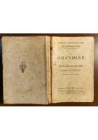 LA GRANDINE di Domenico Pinolini 1921 libro Vallardi danni produce piante metodi