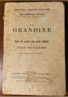 LA GRANDINE di Domenico Pinolini 1921 libro Vallardi danni produce piante metodi
