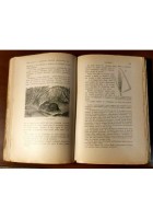 LA GRANDINE di Domenico Pinolini 1921 libro Vallardi danni produce piante metodi