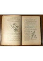 LA GRANDINE di Domenico Pinolini 1921 libro Vallardi danni produce piante metodi