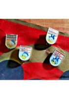 CLUB DI TOPOLINO Bandiera Gagliardetto + 6 spille Disney 1964 Originale Paperino