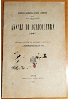 ISTRUZIONI PRATICHE PER COMBATTERE LA PERONOSPORA DELLA VITE 1887 libro antico