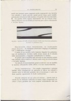 TEORIA E APPLICAZIONI SULLA FOTOELASTICITÀ di Libero Guarneri 1950 Gorlich libro