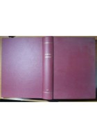 IL GIOVANE INVENTORE annata completa anno I 1925 rivista vintage illustrata