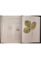 MALATTIE DELLE PIANTE di Lauro Pasinetti 1953 Hoepli Libro patologia profilassi