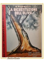 LA RICOSTITUZIONE DELL'OLIVO di Marinucci 1951 Ramo Editoriale Agricoltori libro