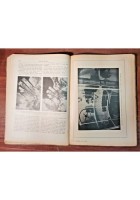 I FENOMENI DELLA NATURA di Italo Del Giudice 1950 Nerbini Libro illustrato
