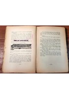 SOTTO LE PALME DI BEYROUTH Federico Talamini 1933 Vittoria libro romanzo