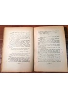 SOTTO LE PALME DI BEYROUTH Federico Talamini 1933 Vittoria libro romanzo