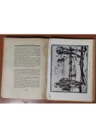 VIAGGI IN PERSIA INDIA E GIAVA di Nicolò De Conti 1929 Alpes libro illustrato