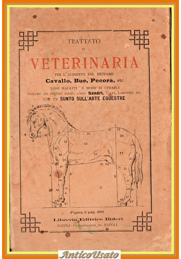 TRATTATO DI VETERINARIA E SUNTO SULL'ARTE EQUESTRE 1898 Bideri Libro cavallo bue