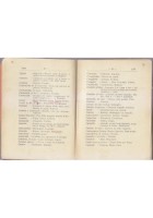 LESSICO RUBASTINO ITALIANO Bartolo Di Terlizzi 1930 Ruvo Puglia libro dialetto