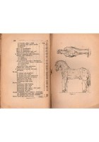 TRATTATO DI VETERINARIA E SUNTO SULL'ARTE EQUESTRE 1898 Bideri Libro cavallo bue