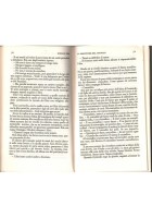 MOSCARDINO IL SERVITORE DEL DIAVOLO VOLTO SANTO di Enrico Pea 1979 Libro Einaudi