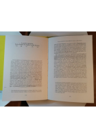 CRITICO E TESTIMONE di Pegorari storia militante della poesia italiana libro