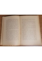 DEI CASI DI IDENTIFICAZIONE SPIRITICA Ernesto Bozzano 1909 libro spiritismo