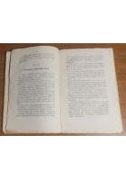 STORIA DEI LADRI NEL REGNO D'ITALIA da Torino a Roma 1873 libro antico fatti