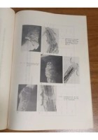 IL DISTACCO CHIMICO DELLE OLIVE di Cozzani Sacco Rebasti 1965 REDA libro manuale