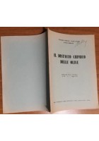 IL DISTACCO CHIMICO DELLE OLIVE di Cozzani Sacco Rebasti 1965 REDA libro manuale