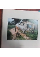 Immagini 3 di Bepi Merisio BPB 1973 Poligrafiche Bolis 20 fotografie libro
