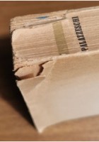 STAMPE DELL'800 di Aldo Palazzeschi 1943 Vallecchi libro romanzo ottocento V ed