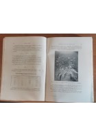 GLI ACCIAI COMUNI E SPECIALI di Gastone Guzzoni 1945 Hoepli Manuale Libro usato
