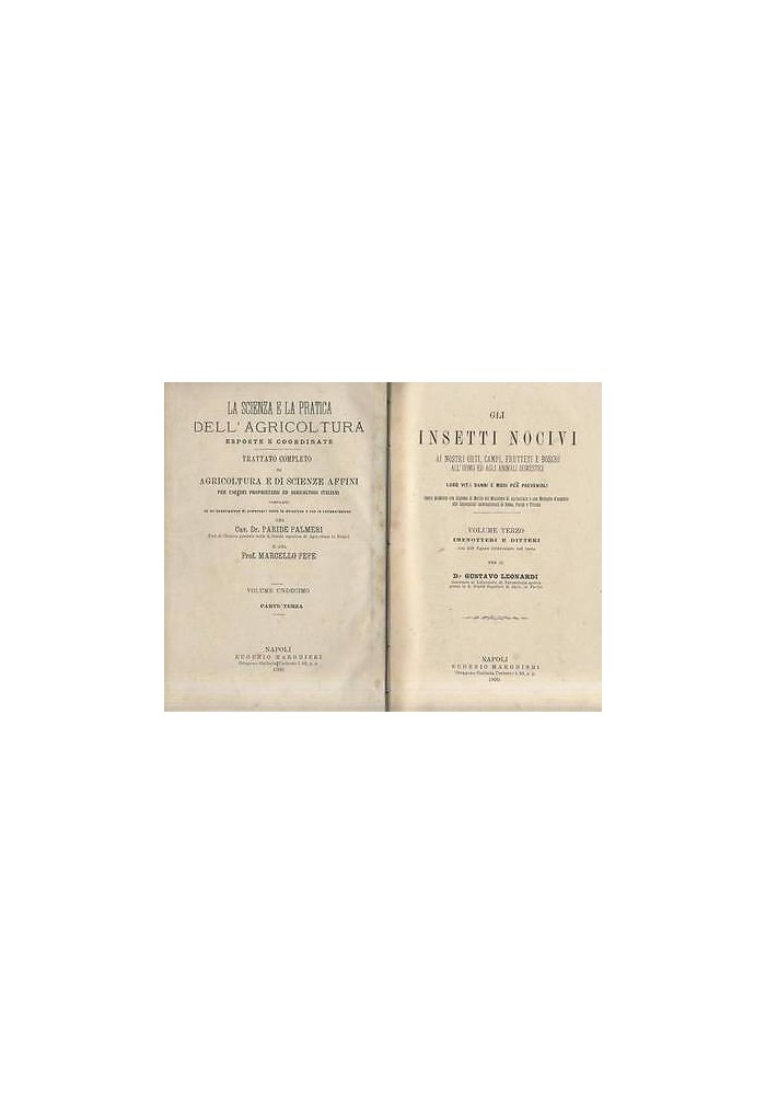 Gli Insetti Nocivi Volume 3 imenotteri ditteri di Agostino Lunardoni 1900 libro