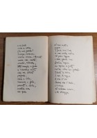 IL FIORE DELLE LAUDI di Gabriele D'Annunzio Mondadori libro poesia