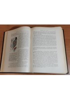 SEMEIOLOGIA DIAGNOSI E TERAPIA DELLE MALATTIE NERVOSE di Mattirolo 1944 libro