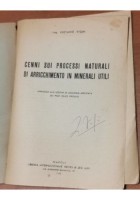 CENNI SUI PROCESSI NATURALI DI ARRICCHIMENTO IN MINERALI UTILI Vighi 1948 libro