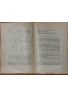 LE EMOPATIE di Adolfo Ferrata 2 volumi in 5 tomi 1933 libro medicina sangue