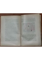 LE EMOPATIE di Adolfo Ferrata 2 volumi in 5 tomi 1933 libro medicina sangue
