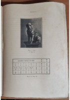 METAPSICHICA MODERNA Fenomeni medianici di William Mackenzie 1923 Libro magia