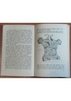 L'ITALIA DI IERI di Edmond e Jules De Goncourt 1944 Perinetti libro Note Viaggio