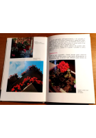 I GERANI di Gigliola Magrini 1964 Edizioni Agricole libro sui coltivazione dei