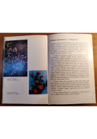 GLI ARBUSTI di Gigliola Magrini 1964 Edagricole libro manuale agricoltura