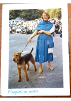 FEDELE AMICO Calendarietto da Barbiere 1958 Originale Vintage Cani Cinofilia