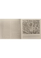 SIENA LE CITTÀ NELLA STORIA D'ITALIA di Lando Bortolotti 1983 Laterza Libro