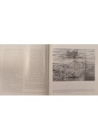 RIMINI LE CITTÀ NELLA STORIA D'ITALIA di Grazia Gobbi P Sica 1982 Laterza Libro