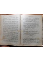 IL FIORE DEL DESERTO di Alfredo Ferrero 1907 Libro Avventure illustrato ragazzi