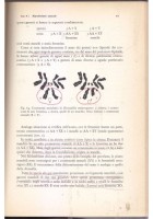 GENETICA GENERALE di Giuseppe Sermonti 1971 Boringhieri libro manuale università