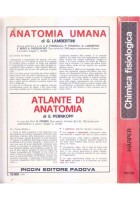 CHIMICA FISIOLOGICA di Harold Harper 1978 Piccin libro manuale università