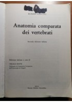 ANATOMIA COMPARATA DEI VERTEBRATI di Romer Parson 1987 SES libro manuale