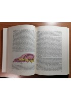 ANATOMIA COMPARATA DEI VERTEBRATI di Romer Parson 1987 SES libro manuale