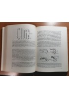 ANATOMIA COMPARATA DEI VERTEBRATI di Romer Parson 1987 SES libro manuale