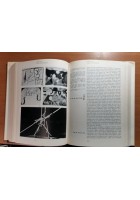 L'ARTE MODERNA 1770 1970 di Giulio Carlo Argan 1971 Sansoni Libro Manuale su