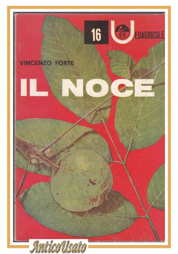 IL NOCE di Vincenzo Forte 1963 Universale Edagricole libro sulla coltivazione