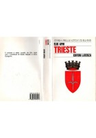 TRIESTE di Elio Apih 1988 Laterza Libro storia delle città italiane